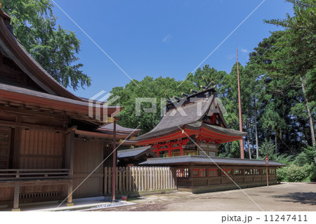 国指定重要文化財 常陸國水府総鎮守 水戸八幡宮御本殿 11247411