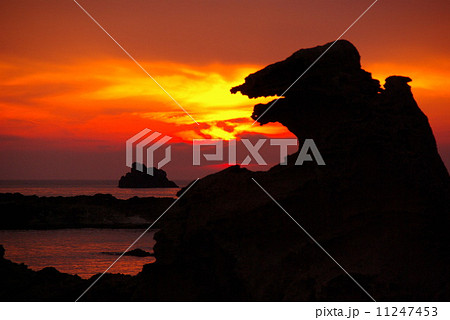 ゴジラ岩 11247453