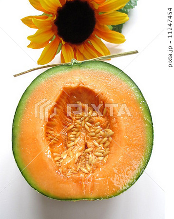 甘くて美味しい夕張メロン 11247454