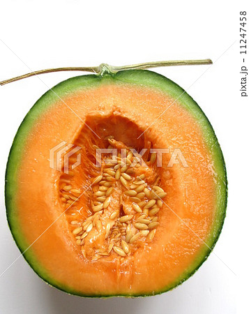 甘くて美味しい夕張メロン 11247458