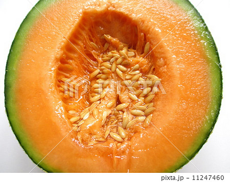 甘くて美味しい夕張メロン 11247460