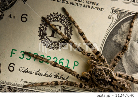 Danger and money, savings protection concept 11247640