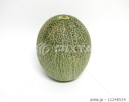 タカミメロン 11248524