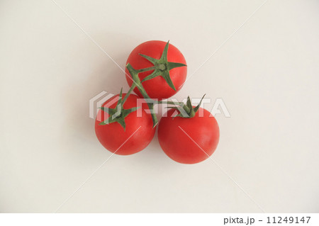 トマトの画像 11249147