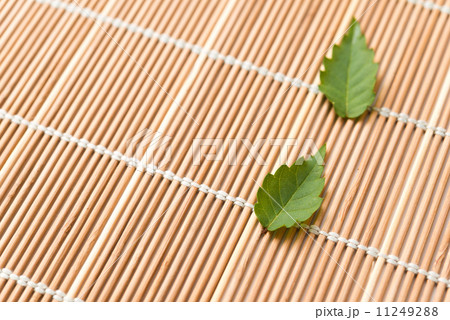 ござの上の木の葉 11249288