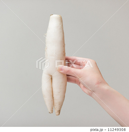 セクシーなダイコン 11249308