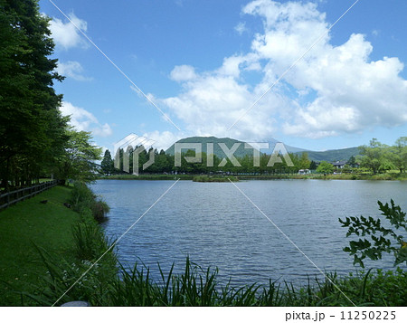 矢ヶ崎公園 矢ヶ崎公園 11250225