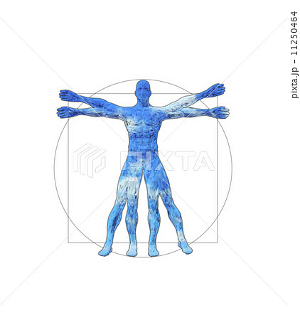 青空の人体のイメージ 11250464