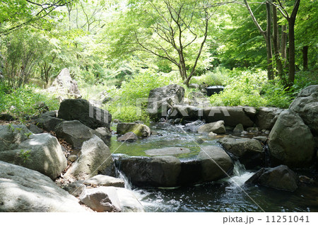 川のせせらぎ 川のせせらぎ 11251041