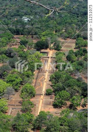 シギリヤロック 11251075