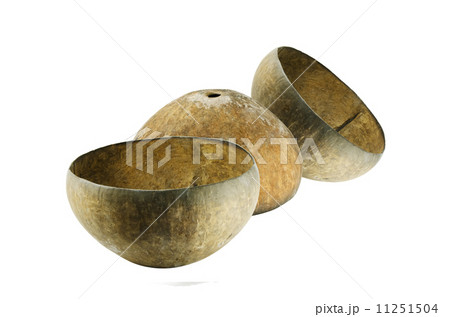 coconut sheel 11251504