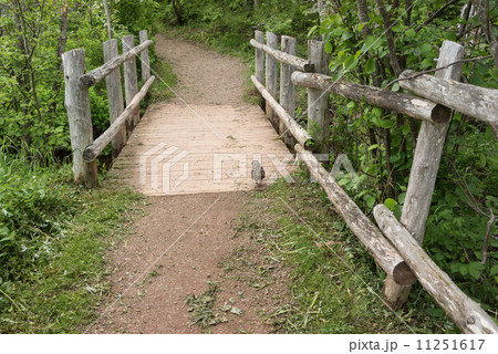 お化けの森入口 11251617