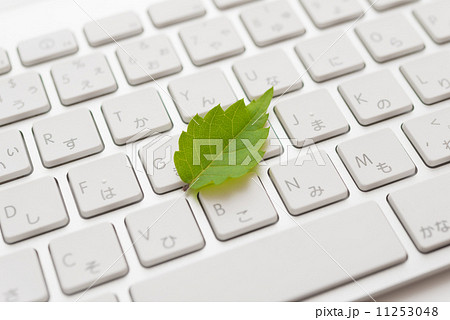 木の葉とキーボード 11253048