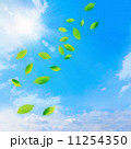 青空に舞う葉 11254350