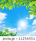 青空と太陽と新緑 11254351