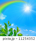 青空と虹と太陽と新緑 11254352