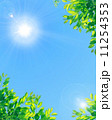 青空と太陽と新緑 11254353