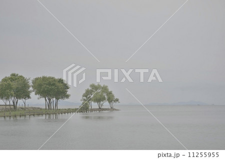 霧の琵琶湖 霧の琵琶湖 11255955