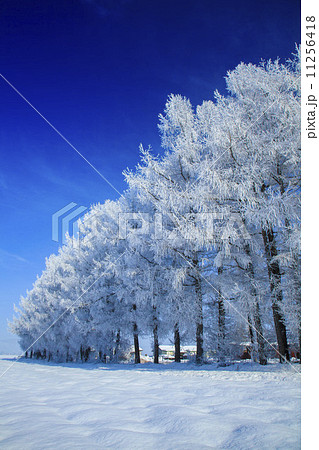 氷点下 氷点下 11256418