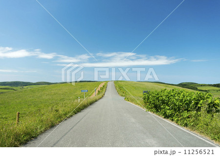 直線道路 11256521