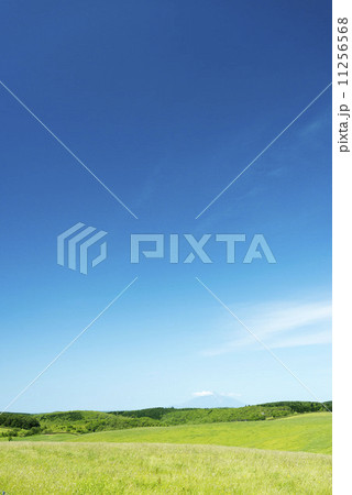 放牧地 放牧地 11256568