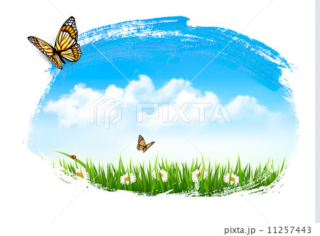 Nature background with green grass, flowers and a butterfly. Vec 11257443