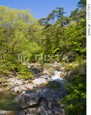 特別名勝　御岳昇仙峡 11257563