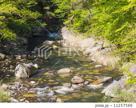 特別名勝 御岳昇仙峡 特別名勝 御岳昇仙峡 11257566