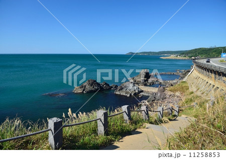 海辺の道 11258853