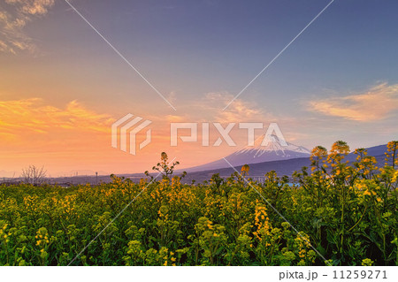 オレンジ色の空 富士山 オレンジ色の空 富士山 11259271
