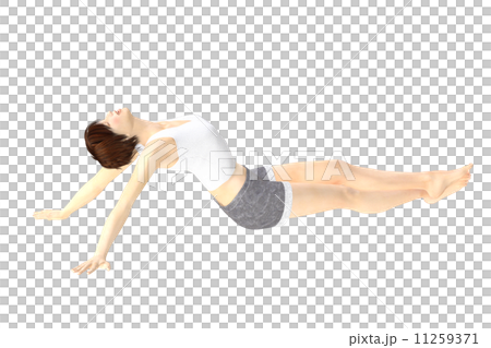 ストレッチする女性 ストレッチする女性 11259371