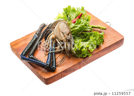 Freshwater prawn Freshwater prawn 11259557