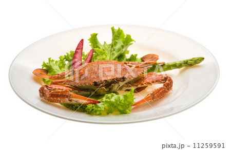 Boiled crab 11259591