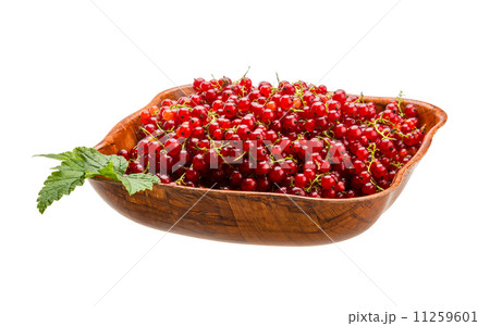 Red currant Red currant 11259601