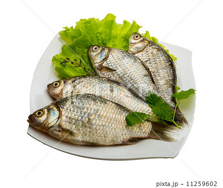 Crucian fish Crucian fish 11259602