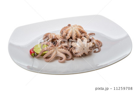 Boiled octopus Boiled octopus 11259708