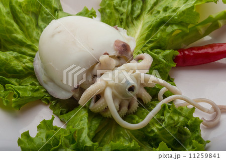 Boiled cuttlefish Boiled cuttlefish 11259841
