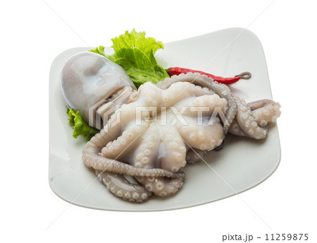 Raw octopus Raw octopus 11259875