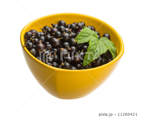 Black currant Black currant 11260421