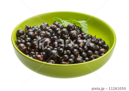 Black currant 11261050