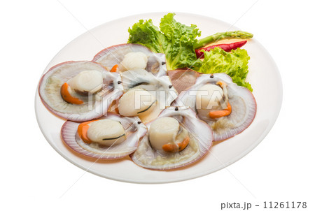 Raw fresh scallop 11261178