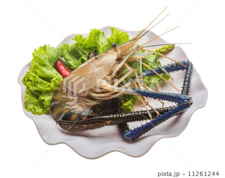 Freshwater prawn Freshwater prawn 11261244