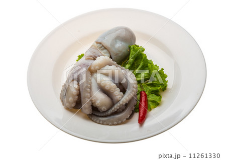 Raw octopus 11261330