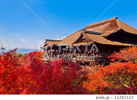 紅葉と清水の舞台 11262122