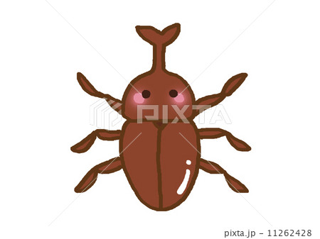 カブトムシ 11262428