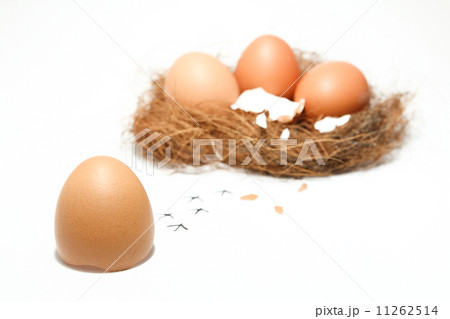 Egg running away from group 11262514