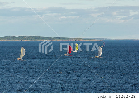 boat with white sails boat with white sails 11262728