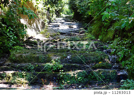 朝比奈切通し 11263013