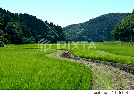 あぜ道 11263546