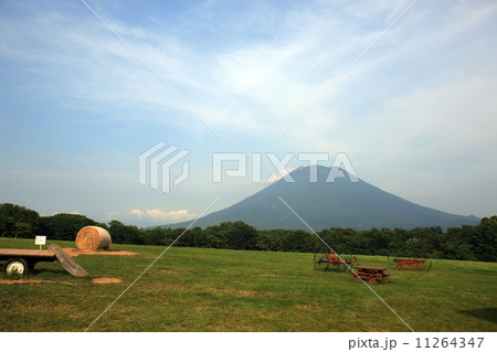 草原と羊蹄山 11264347